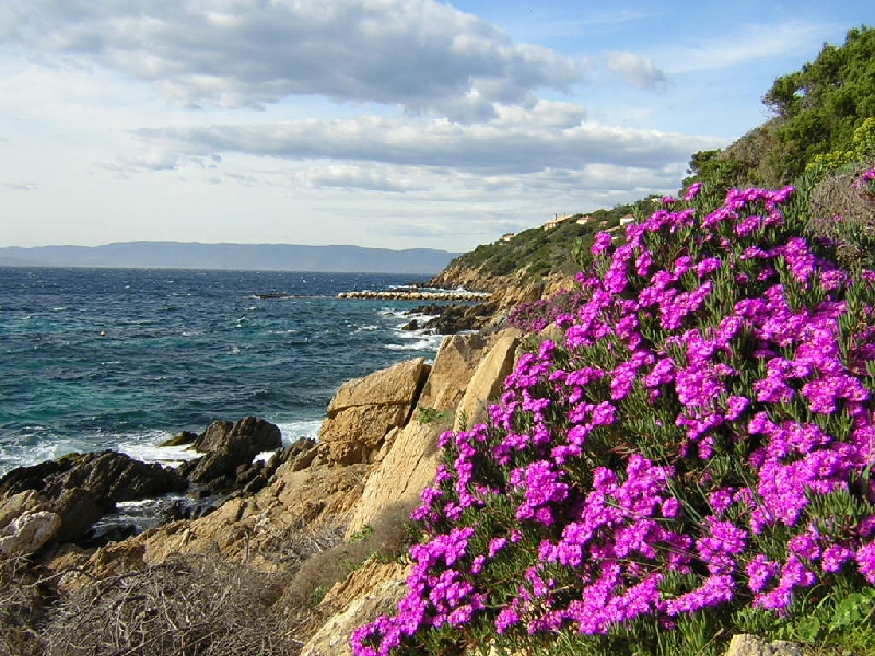 Diaporama