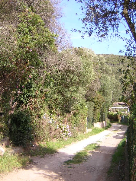 Diaporama
