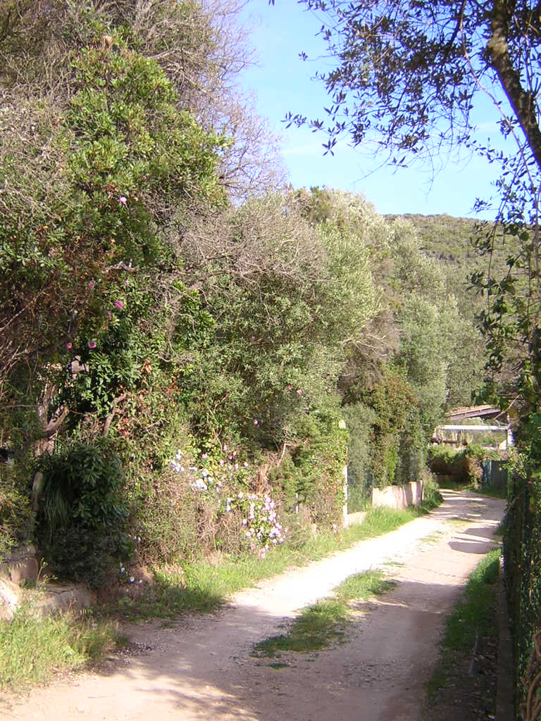 Diaporama